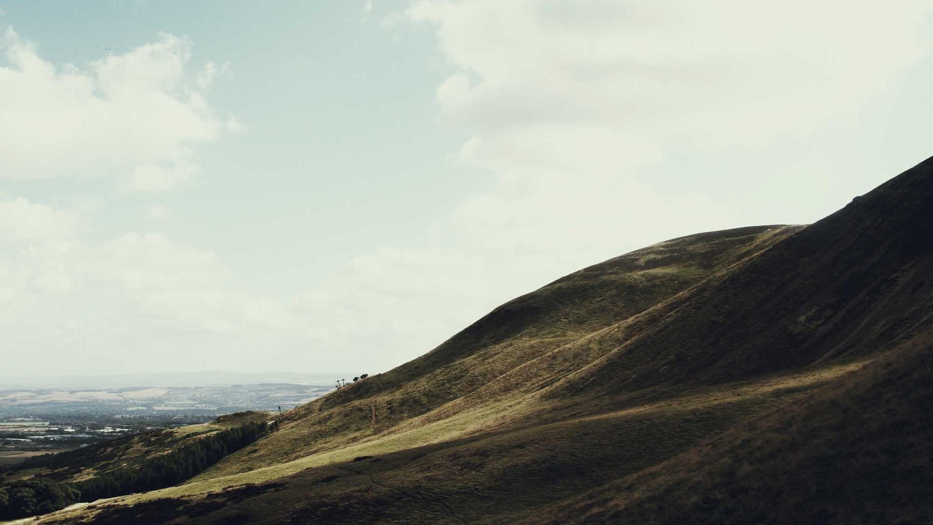 Professional team workspace demonstrating expert collaboration