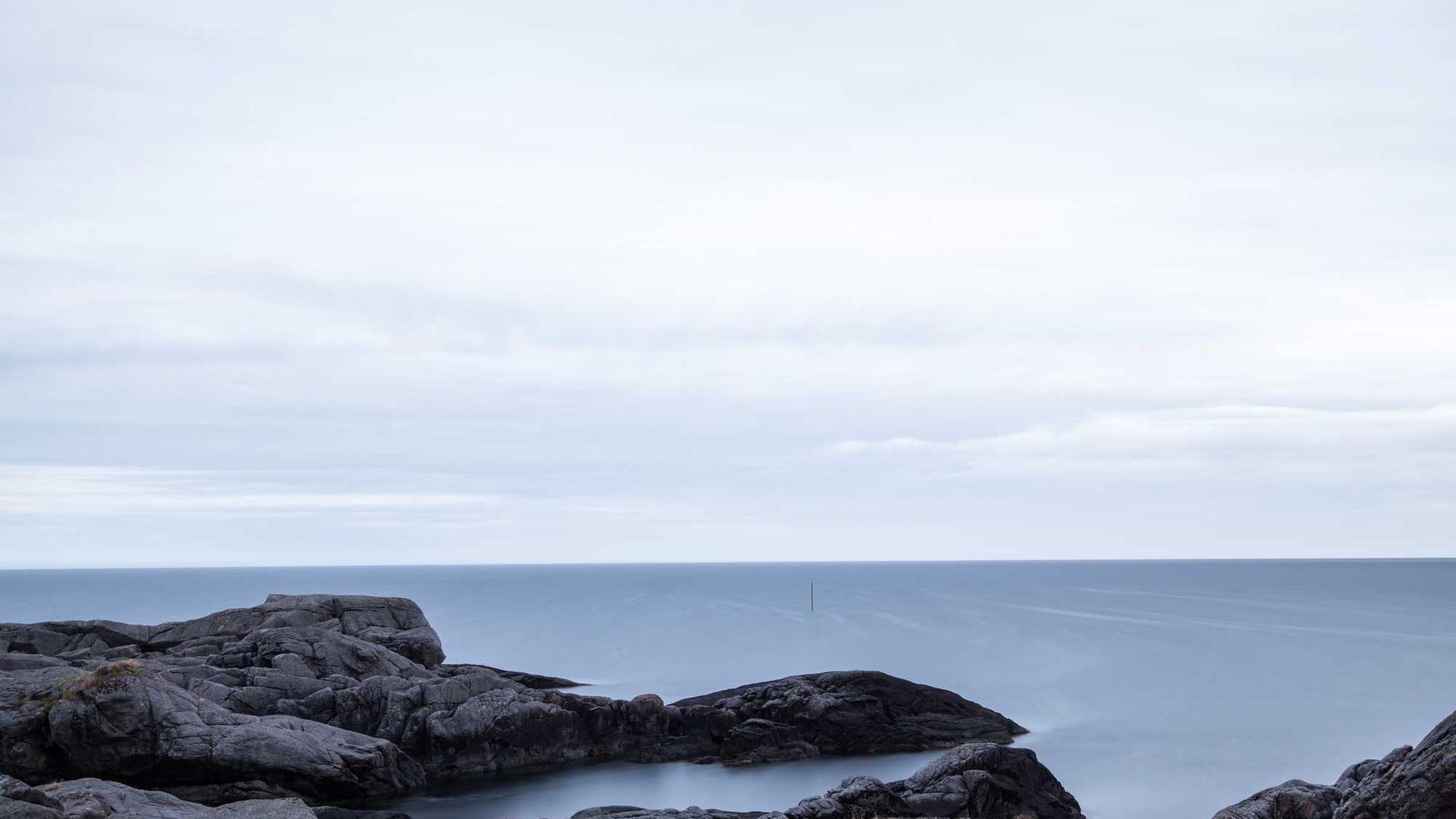 Professional vacuum cleaner store environment